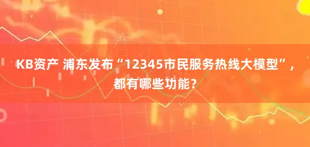 KB资产 浦东发布“12345市民服务热线大模型”，都有哪些功能？