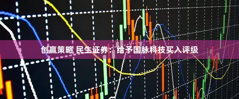 创赢策略 民生证券：给予国脉科技买入评级