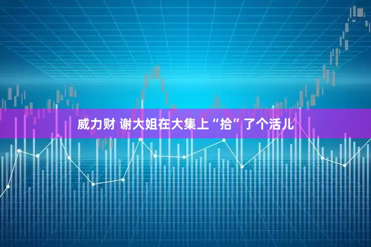威力财 谢大姐在大集上“拾”了个活儿