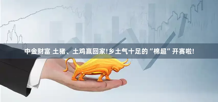 中金财富 土猪、土鸡赢回家!乡土气十足的“棉超”开赛啦!