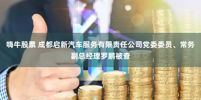 嗨牛股票 成都启新汽车服务有限责任公司党委委员、常务副总经理罗鹏被查
