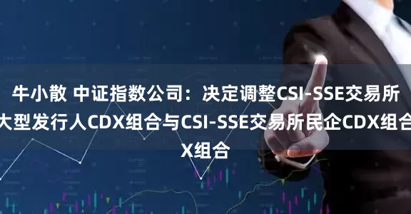 牛小散 中证指数公司：决定调整CSI-SSE交易所大型发行人CDX组合与CSI-SSE交易所民企CDX组合