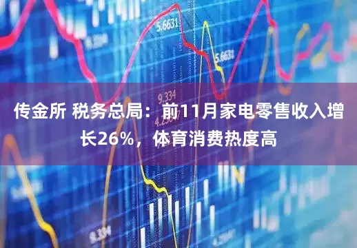 传金所 税务总局：前11月家电零售收入增长26%，体育消费热度高