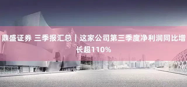 鼎盛证券 三季报汇总｜这家公司第三季度净利润同比增长超110%